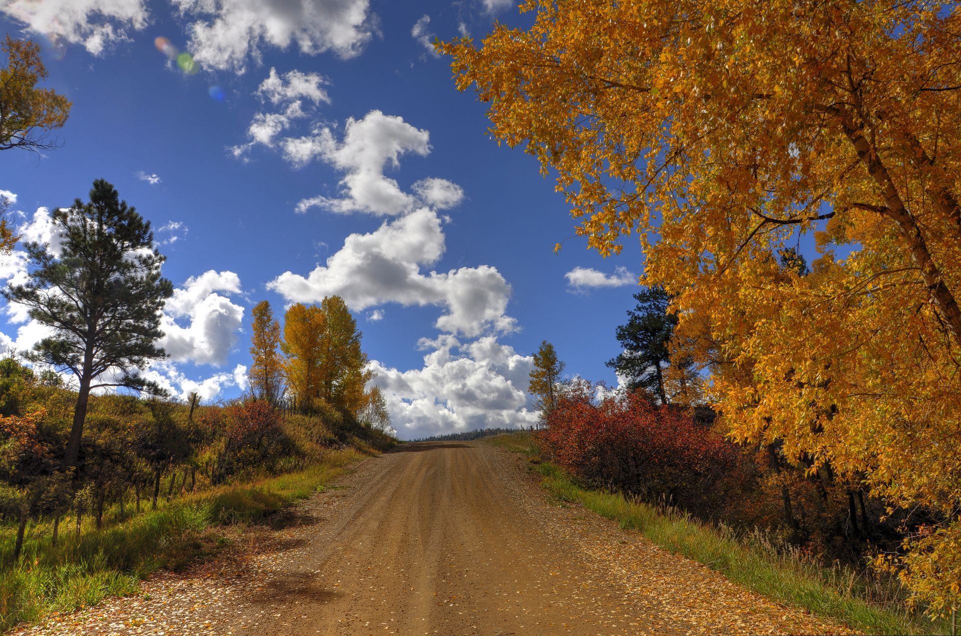 Autumn in New Mexico