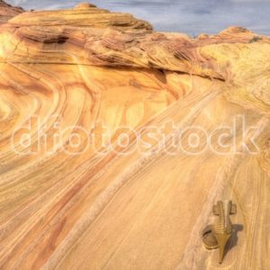 Standing on the Edge of Little Wave - dfoto.pl