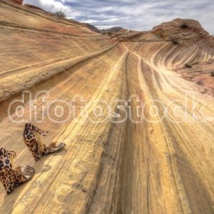 Walking the Line - dfoto.pl