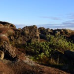 lava field