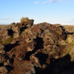 lava field