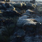 lava field