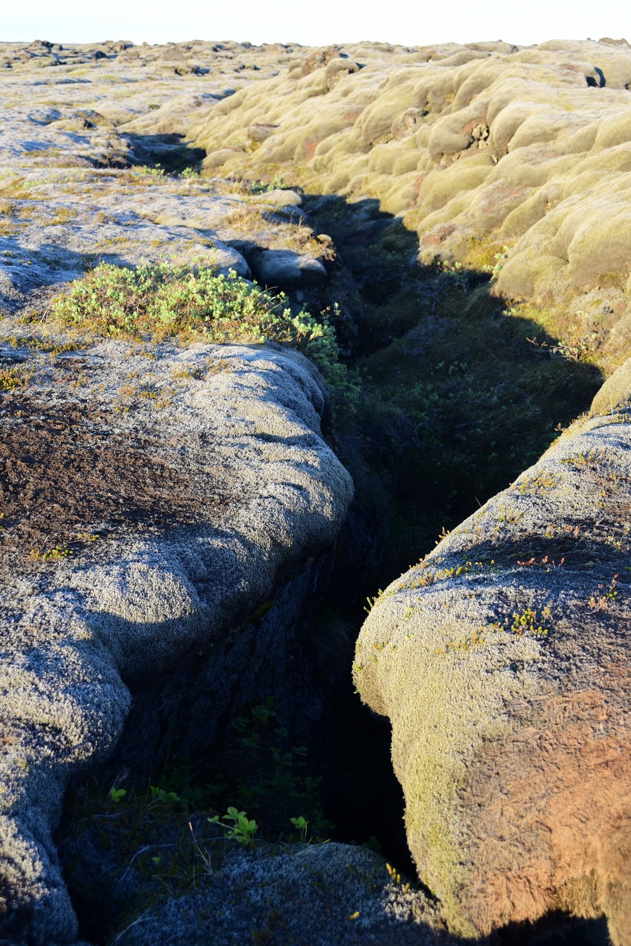 lava field